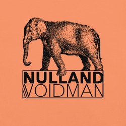 "Elephant in the room" Graphic Tee