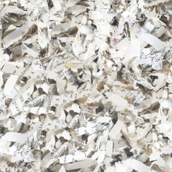 "Master Shredder" Women’s athletic shoes